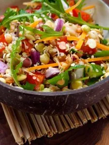 Laura's Idea: Sprouting Raw Salad