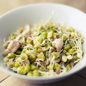 sprouted beans and lentils