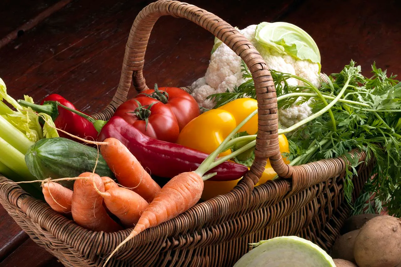 Vegetables in a basket - Laura's Idea - vegan and vegetarian dishes