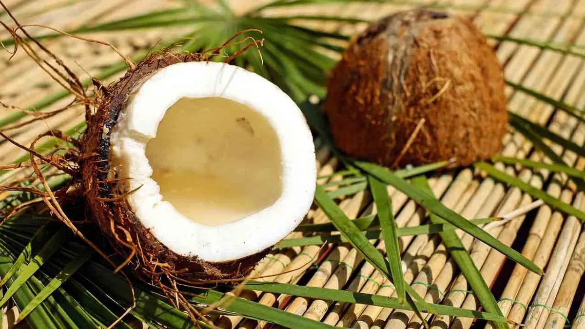 The health benefits and uses of coconuts - Laura's Idea